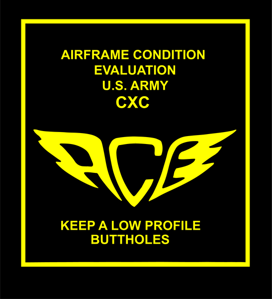 ACE Inspection Sticker