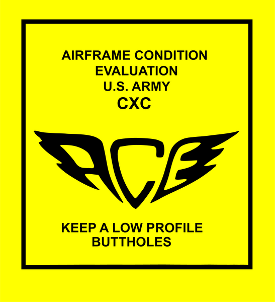 ACE Inspection Sticker